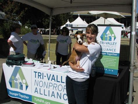 Share the Spirit: Tri-Valley nonprofit helps pets change lives